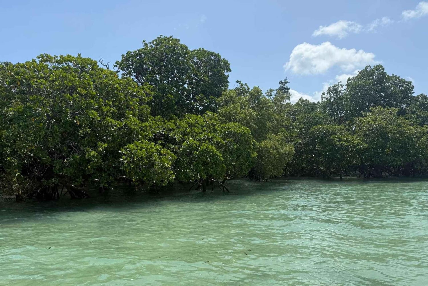 Pungume Island , beautiful snorkeling, sandbank & lunch
