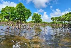 プングメ島、プングメビーチ、砂州バーベキュー、スノーケリング