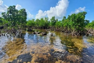 プングメ島、プングメビーチ、砂州バーベキュー、スノーケリング