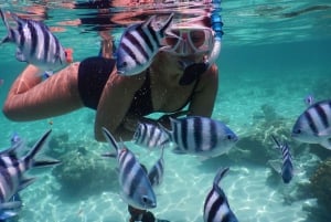 プングメ島、プングメビーチ、砂州バーベキュー、スノーケリング