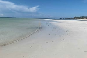 Pungume Island: Snorkeling by Sea Scooter