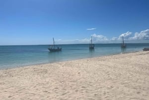 Pungume Island: Snorkeling by Sea Scooter