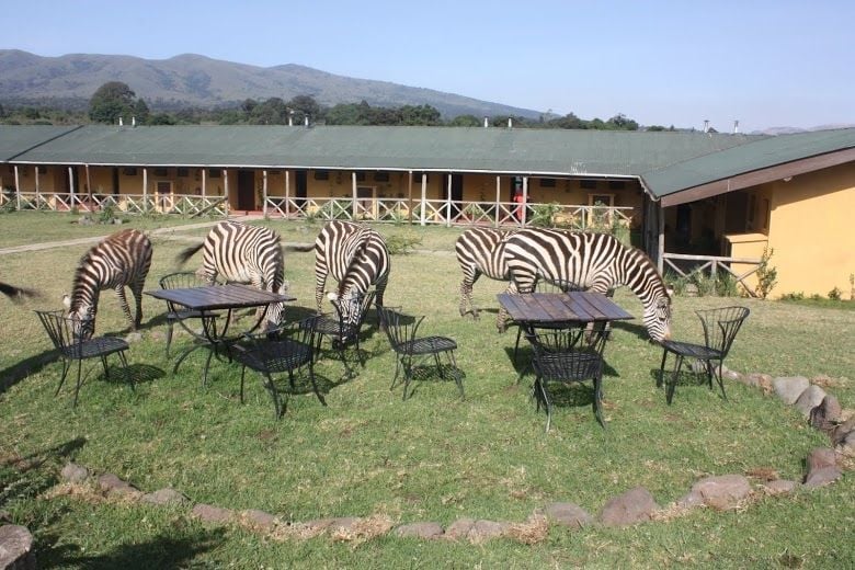 Rhino Lodge
