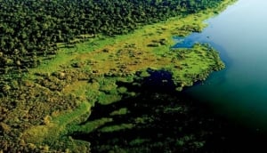Rubondo Island National Park