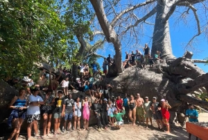 SAFAR BLUE, wycieczka 1-dniowa na piaszczystą łachę z lunchem z owocami morza