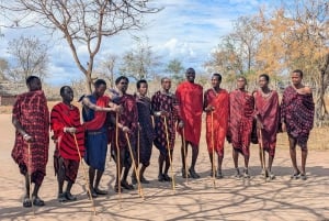 Djursafari från Zanzibar till Mikumi 3 dagar och 2 nätter