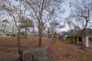 Djursafari från Zanzibar till Mikumi 3 dagar och 2 nätter