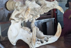 Djursafari från Zanzibar till Mikumi 3 dagar och 2 nätter