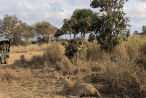 Djursafari från Zanzibar till Mikumi 3 dagar och 2 nätter