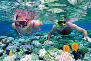Safari Blue Adventure – sejlads, snorkling og et festmåltid med fisk og skaldyr