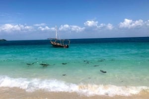 Safari Blue Adventure – sejlads, snorkling og et festmåltid med fisk og skaldyr