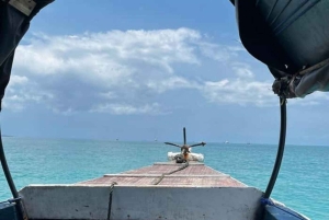 Safari Blue: Tagestour, Schnorcheln, weiße Sandbank, Meeresfrüchte