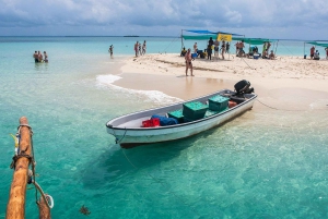 ZANZIBAR: Safari Blue tour privato di un giorno con pranzo BBQ