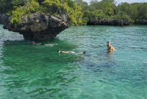 Excursión Safari Azul