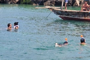 Excursión Safari Azul