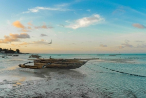 Zanzibar: Heldagstur med Safari Blue Shared