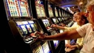 Safari Casino
