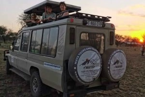 Zanzibar: Viagem de 1 dia de Safari de Zanzibar a Mikumi