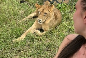 SAFARI WILDLIFE FRA ZANZIBAR TIL MIKUMI 3 DAGE OG 2 NÆTTER
