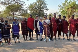 SAFARI WILDLIFE FRA ZANZIBAR TIL MIKUMI 3 DAGE OG 2 NÆTTER