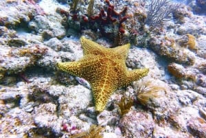 Salaam Cave, Starfish Adventure, The Rock Lunch, Kuza Cave