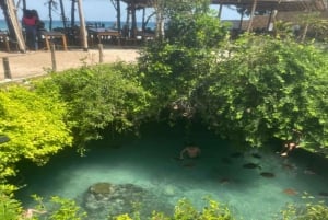 SALAAM-LUOLA: Ui kilpikonnien kanssa ja nauti illallinen The Rock -ravintolassa