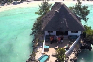 SALAAM-LUOLA: Ui kilpikonnien kanssa ja nauti illallinen The Rock -ravintolassa