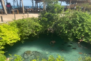 CUEVA SALAAM: Nada con tortugas y cena en el restaurante The Rock.