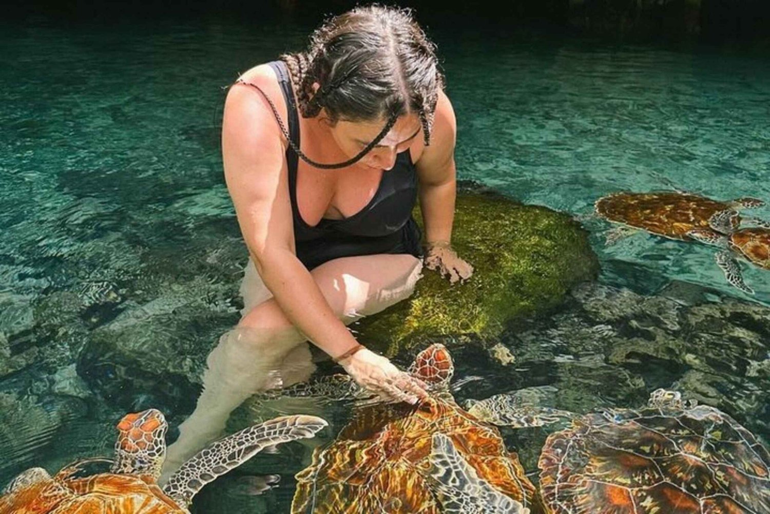 Salaam Cave Zwemmen en zeeschildpadden voeren in Kizimkazi