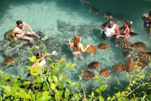 Nuotare con le tartarughe nella grotta di Salaam e la spiaggia di Mtende