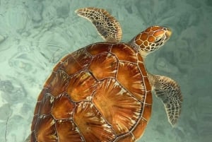 Nuotare con le tartarughe nella grotta di Salaam e la spiaggia di Mtende