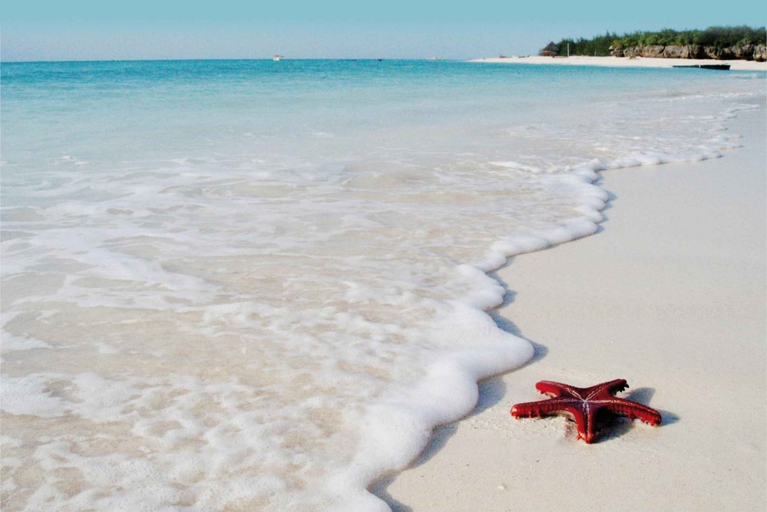 Salaam-grottentour, lunch bij The Rock, Mnemba-dolfijnentour