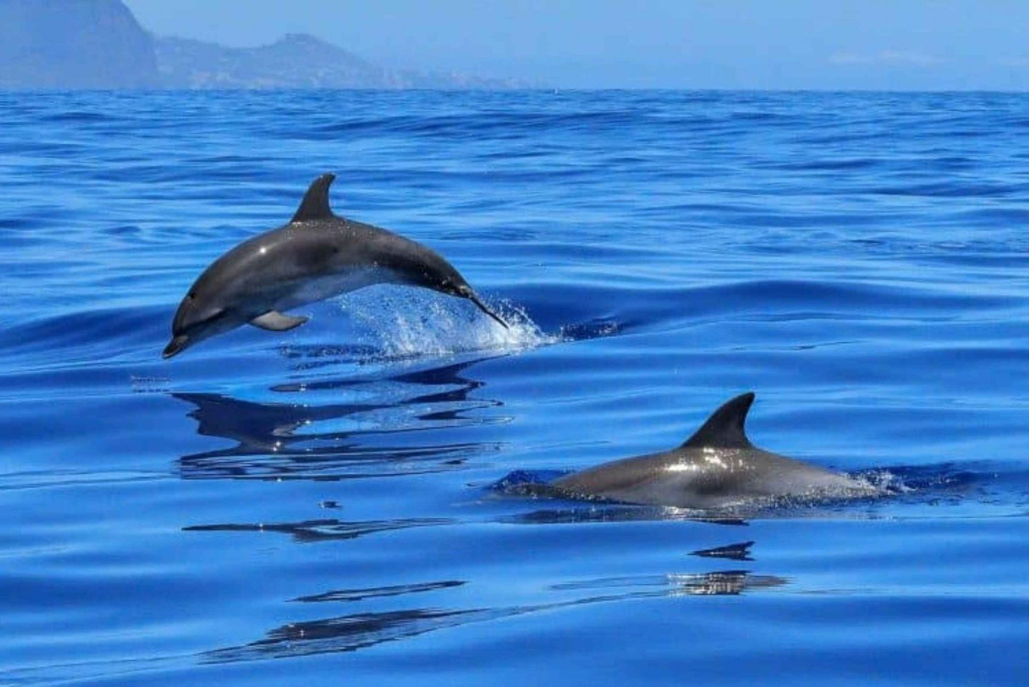 Salaam Cave Tour, Paje Beach, The Rock Restaurant, Kuza Cave