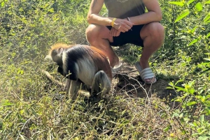 Caverna Salam, Lagoa Azul, Praia das Estrelas do Mar e Restaurante The Rock