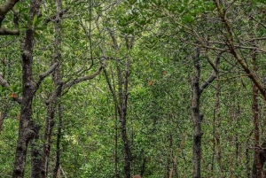 Caverna Salam, Lagoa Azul, Praia das Estrelas do Mar e Restaurante The Rock