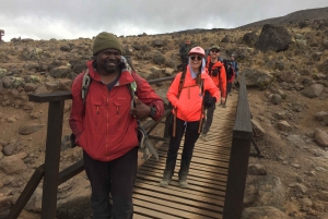 Scenic day trip in the vicinity of Mount Kilimanjaro