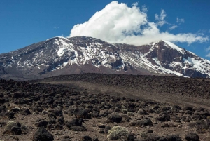 Scenic day trip in the vicinity of Mount Kilimanjaro