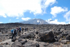 Scenic day trip in the vicinity of Mount Kilimanjaro
