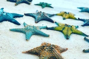 AVENTURAS MARÍTIMAS: caiaque, mergulho com snorkel na Lagoa Azul e estrelas-do-mar