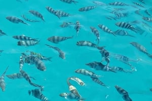 AVENTURAS MARÍTIMAS: caiaque, mergulho com snorkel na Lagoa Azul e estrelas-do-mar