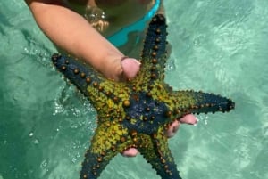 AVENTURAS MARÍTIMAS: caiaque, mergulho com snorkel na Lagoa Azul e estrelas-do-mar
