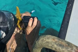 AVENTURAS MARÍTIMAS: caiaque, mergulho com snorkel na Lagoa Azul e estrelas-do-mar