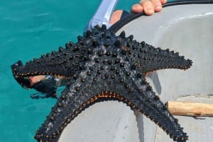 AVENTURAS MARÍTIMAS: caiaque, mergulho com snorkel na Lagoa Azul e estrelas-do-mar