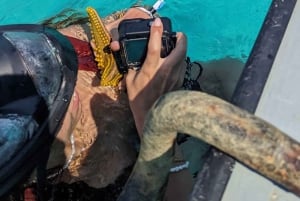 AVENTURAS MARÍTIMAS: caiaque, mergulho com snorkel na Lagoa Azul e estrelas-do-mar