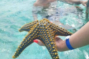 AVENTURAS MARÍTIMAS: caiaque, mergulho com snorkel na Lagoa Azul e estrelas-do-mar