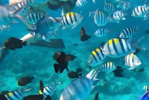 AVENTURAS MARÍTIMAS: caiaque, mergulho com snorkel na Lagoa Azul e estrelas-do-mar