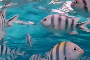 AVENTURAS MARÍTIMAS: caiaque, mergulho com snorkel na Lagoa Azul e estrelas-do-mar