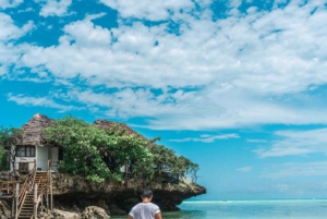 Sanctuaire des tortues marines, centre des papillons et restaurant The Rock