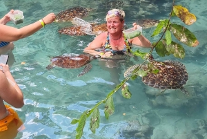 Havssköldpaddor (akvarium): En dold grotta In i djupet.