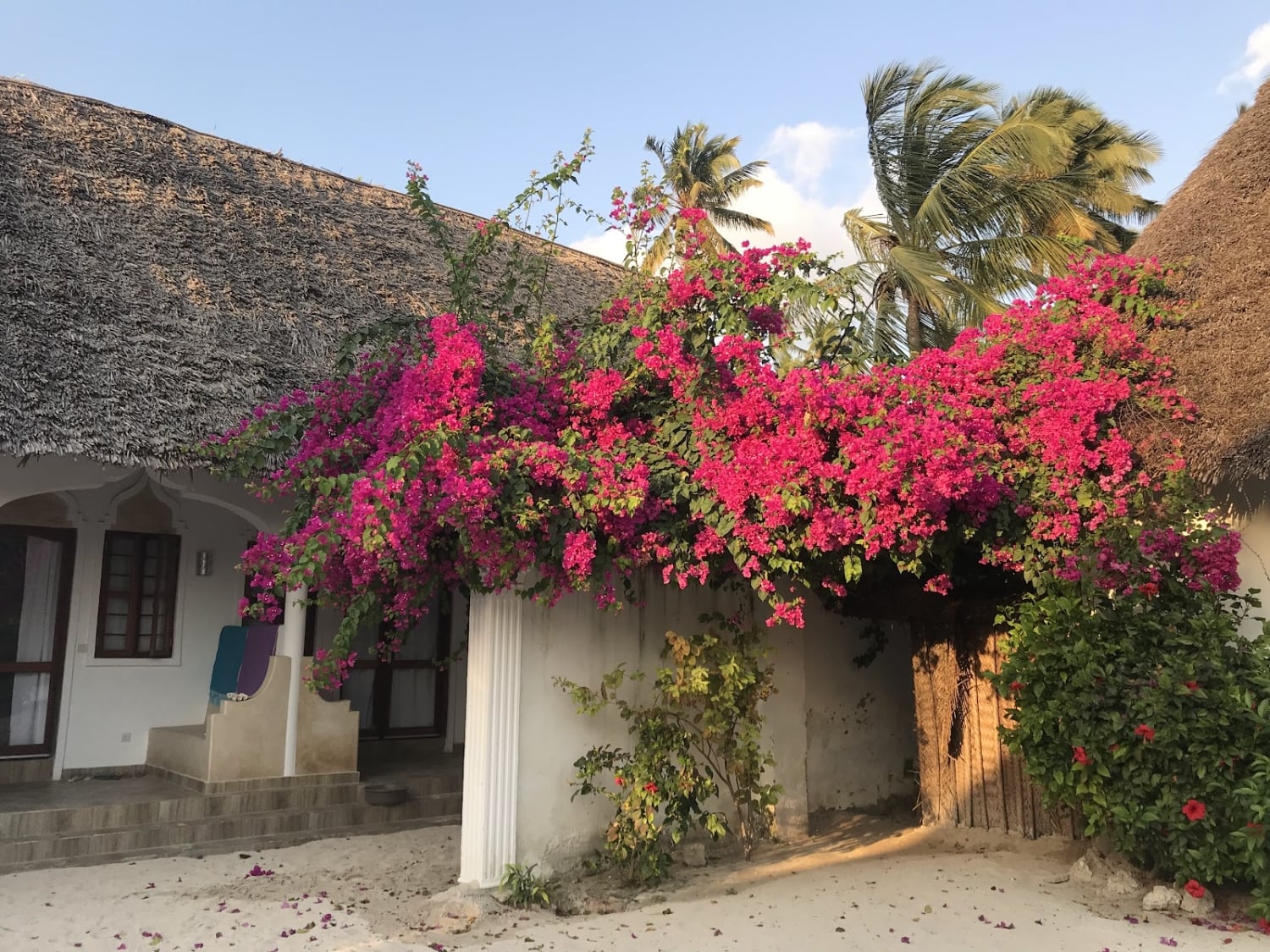 Sea View Lodge